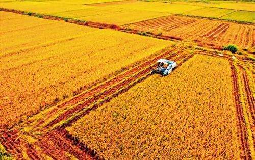 糧食、農(nóng)業(yè)和飼料